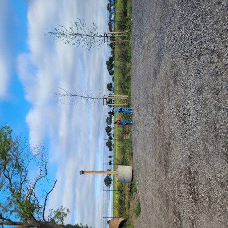 Die SchülerInnen und Schüler sammeln Müll im Rahmen des Clean Up Days 2025