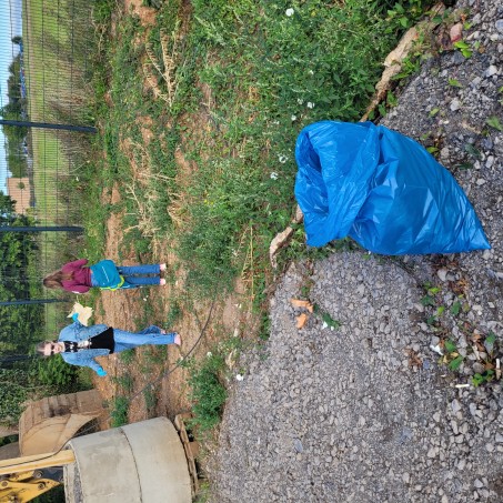 Die SchülerInnen und Schüler sammeln Müll im Rahmen des Clean Up Days 2025